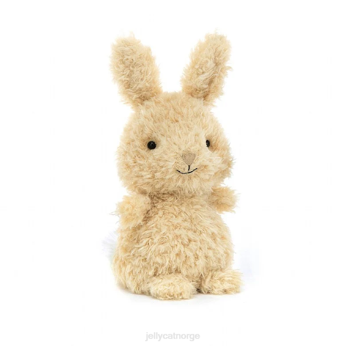 Jellycat hvem kan jeg finne bok og liten kanin honning bok 8RNH737